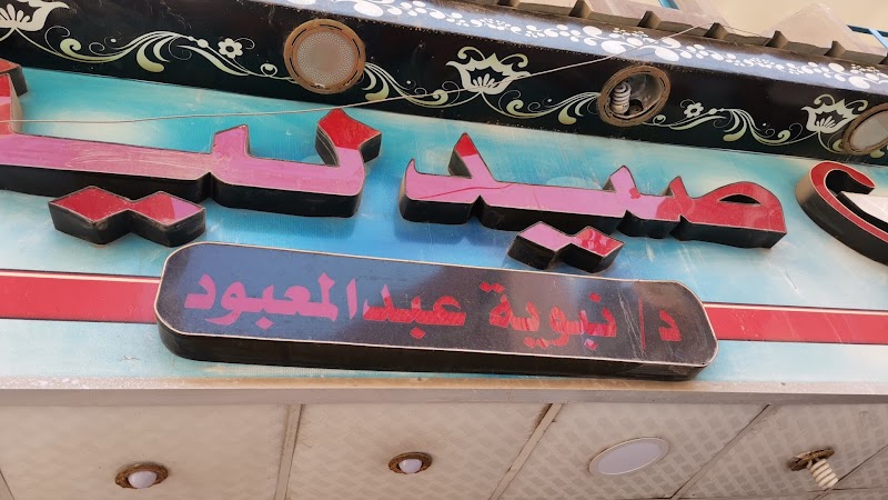 صيدلية الدكتورة نبوية فرع الثلاثينى - صورة 1