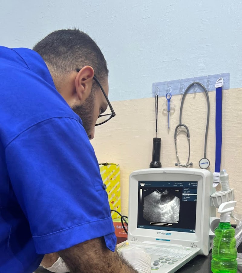 Pawspitalia Veterinary Center - Photo 3