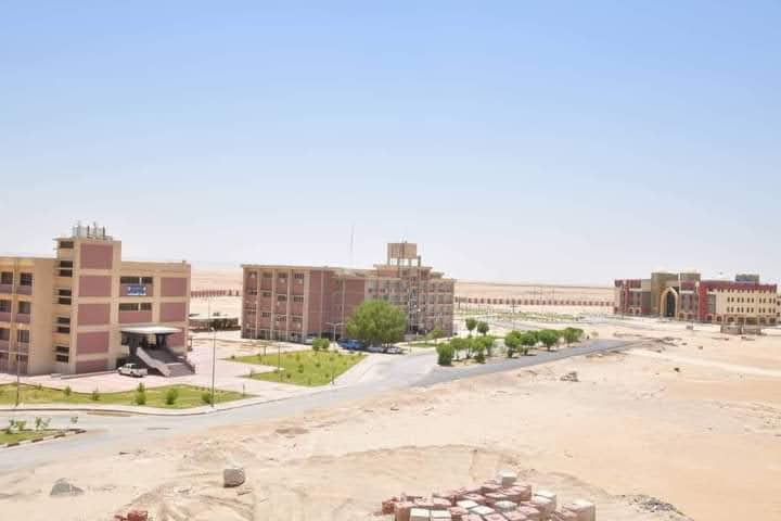 Faculty of Pharmacy - New Valley University - Photo 1