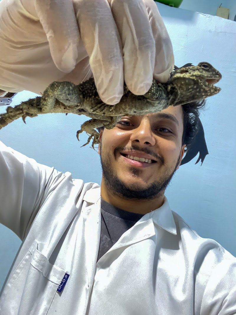 Petso Vet Clinic - صورة 3