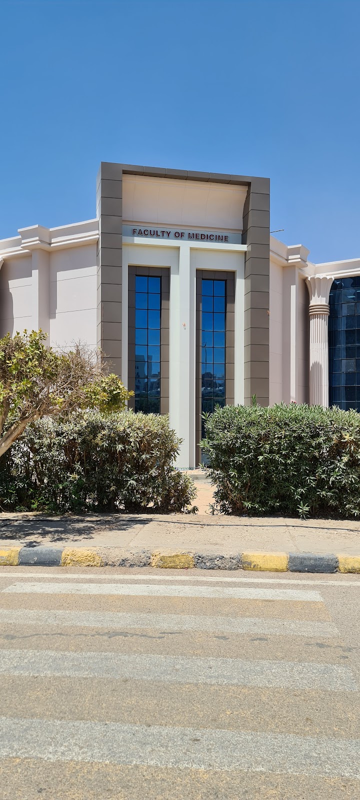 Faculty of Medicine - Luxor University - Photo 3