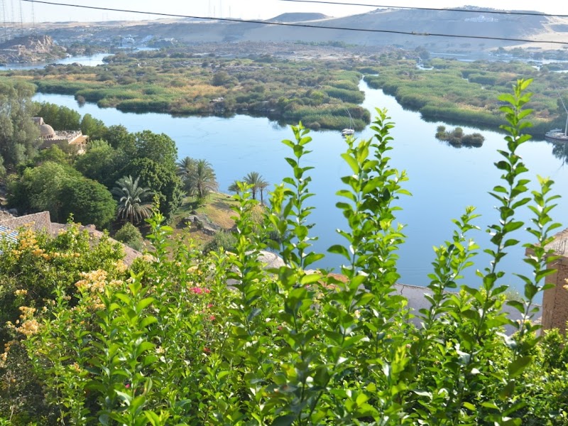 Aswan Nile Palace - Photo 2