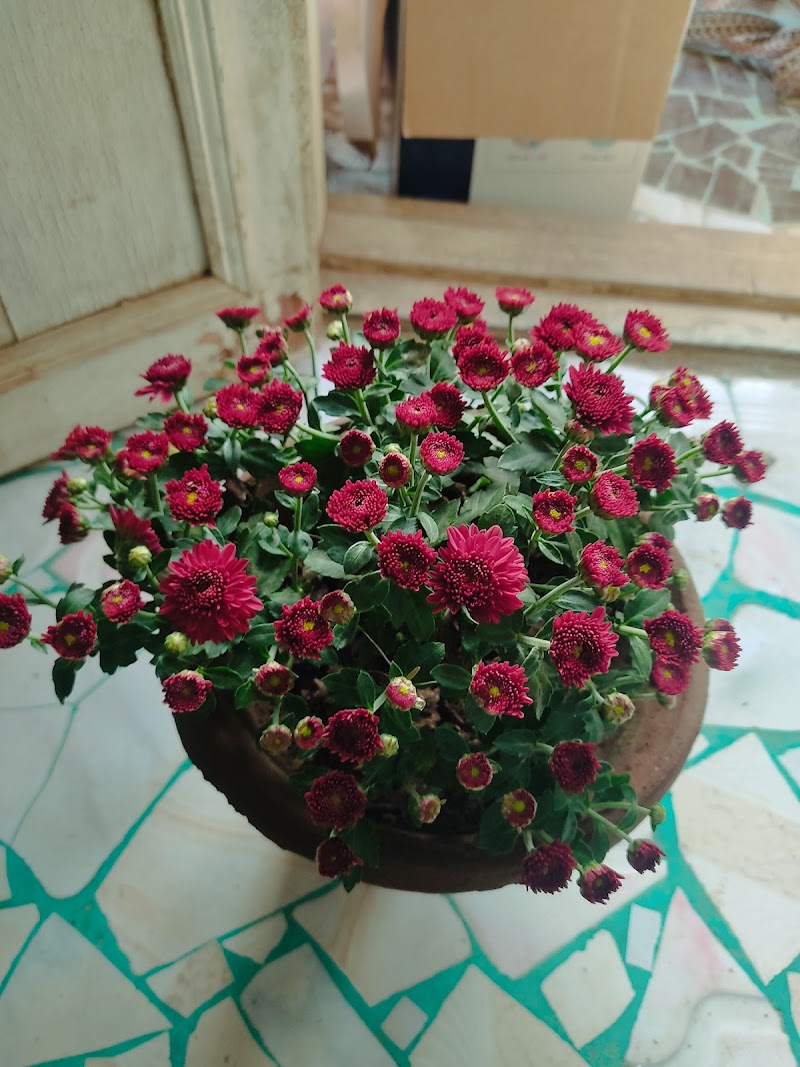 . - Photo 1