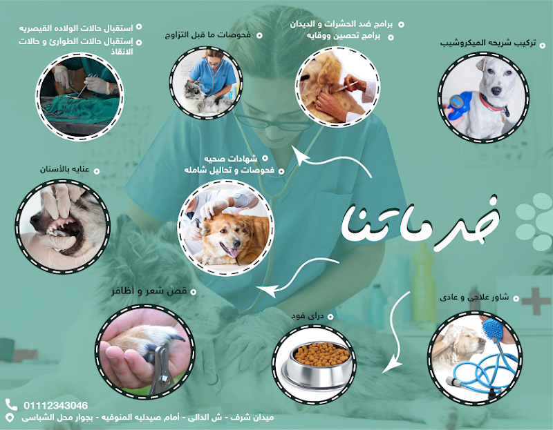 Silvia pets clinic - صورة 2
