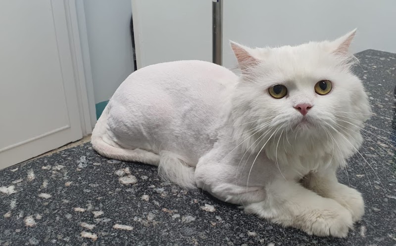 العيادة البيطرية pet planet - صورة 2