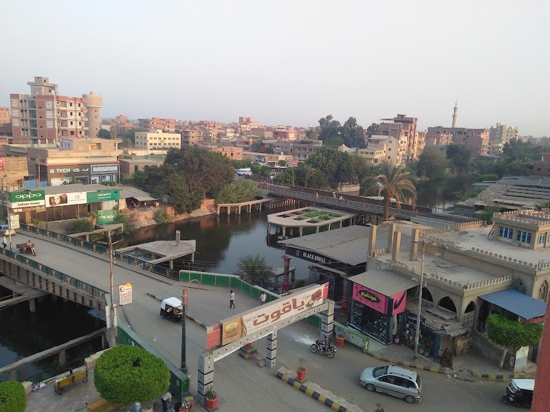 البنك الاهلى المصري فرع بركة السبع - NBE Berket El Saba'a Branch - صورة 2