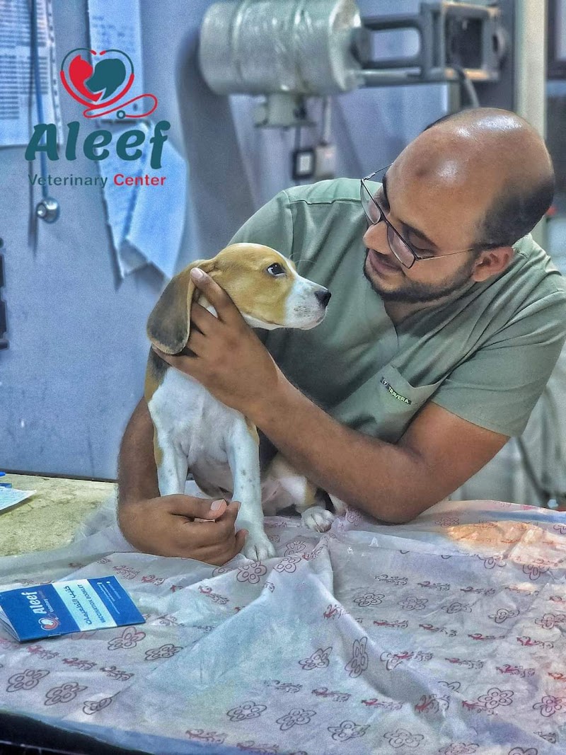 Aleef Veterinary Center AVC - مركز أليف لطب وجراحة الحيوان - Photo 2