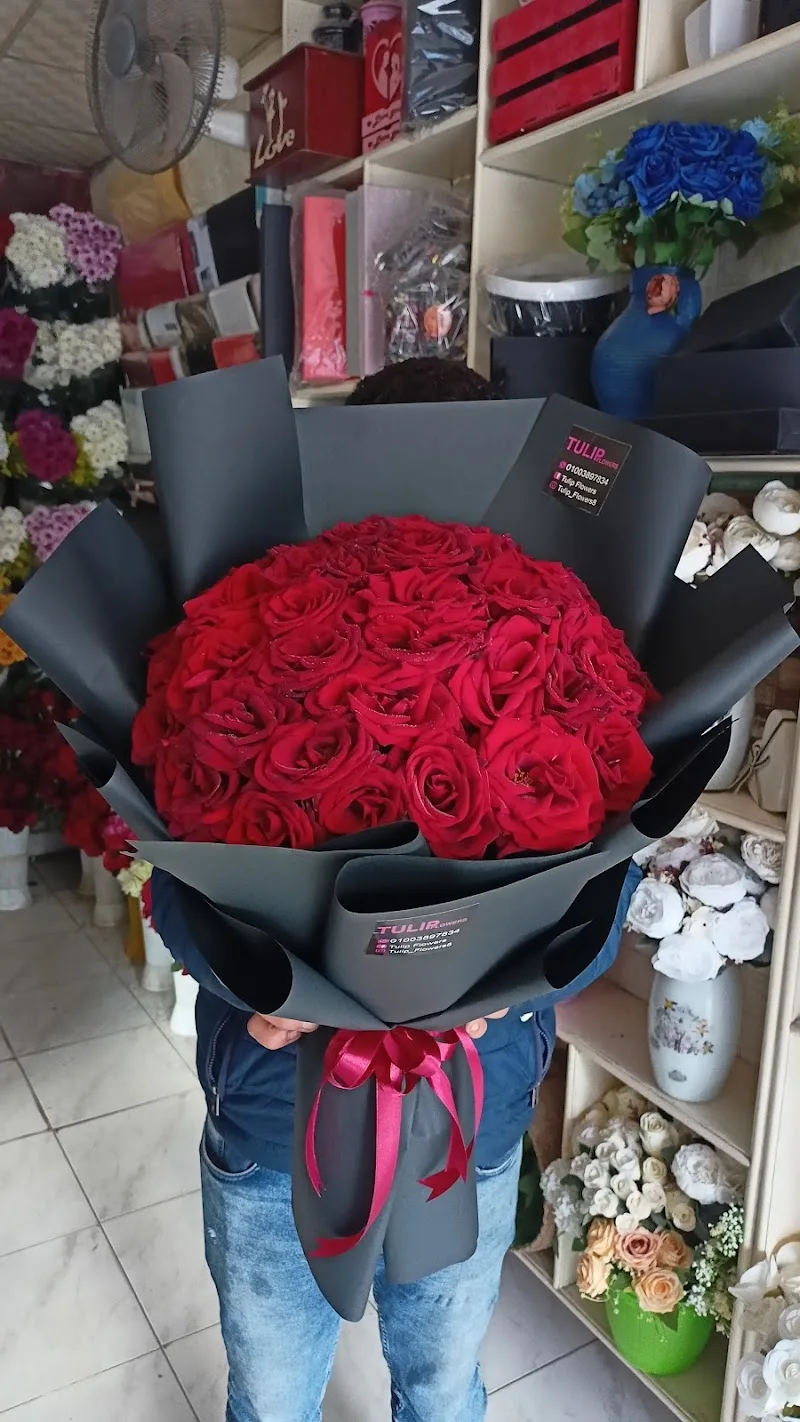 زهور تيوليب Tulips