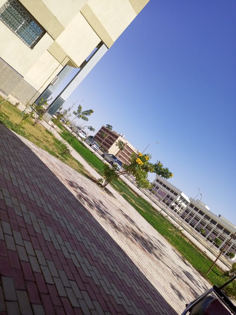 كلية التربية الرياضية جامعة السويس