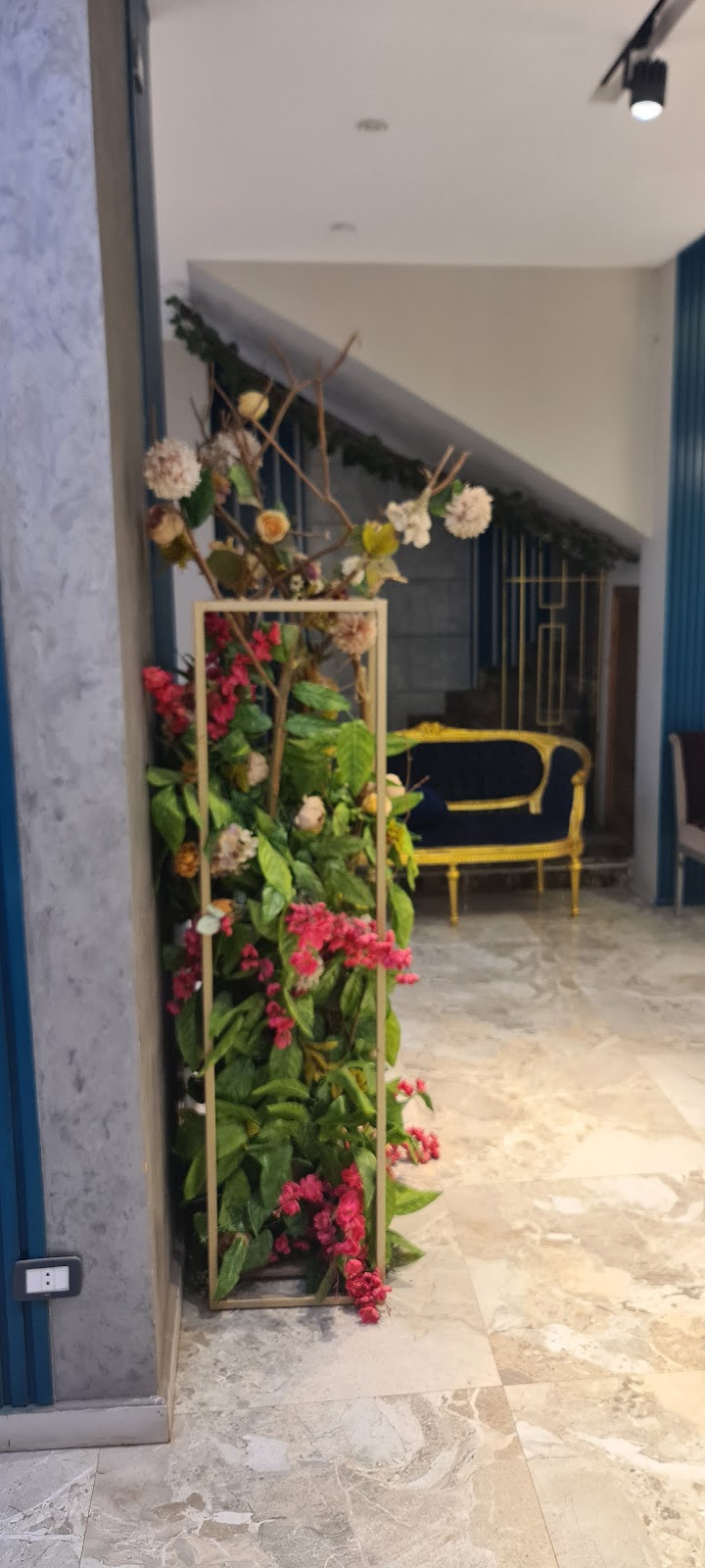 Studio Monir ستوديو منير