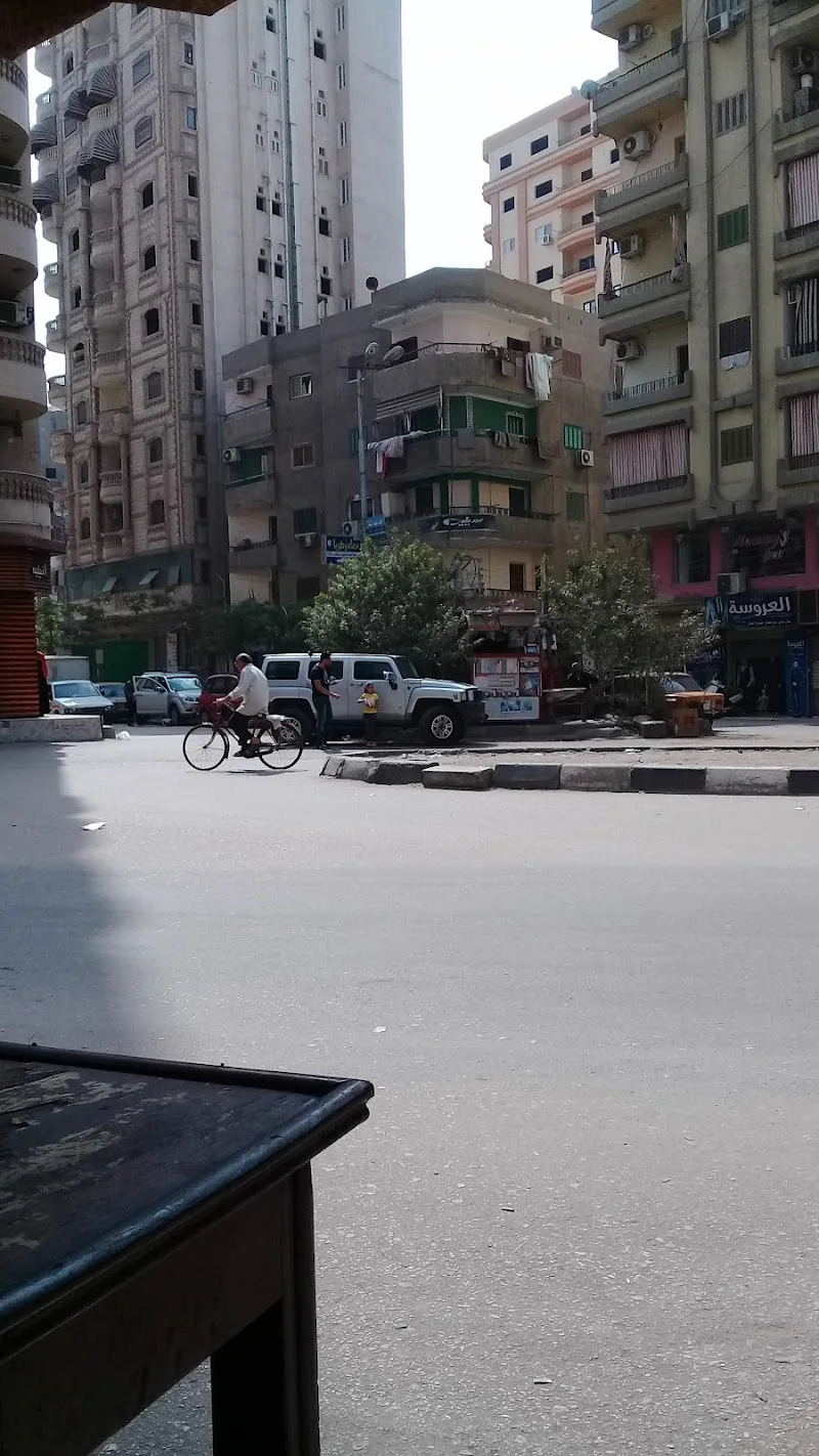 العمرو للإستثمار العقاري