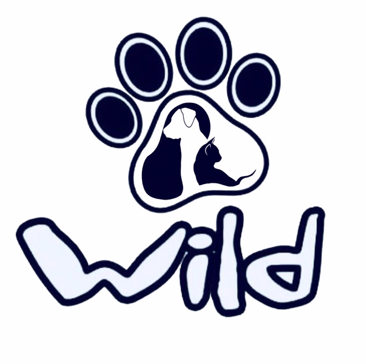 Veterinary services - Photo 2