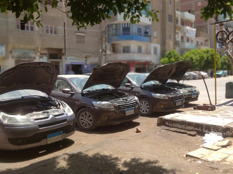 المجموعه الهندسيه الفرنسيه بني سويف رينو بيجو ستروين