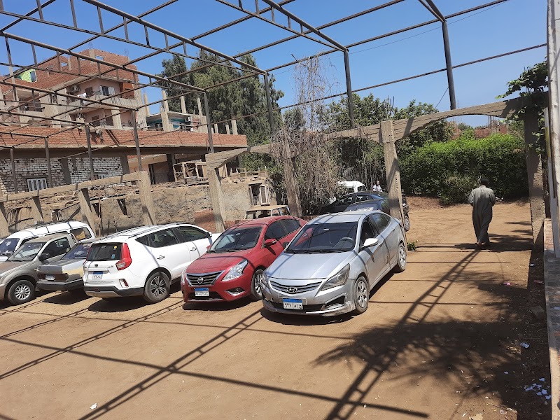 . دكتور محمود كمال عفيفي - Photo 3