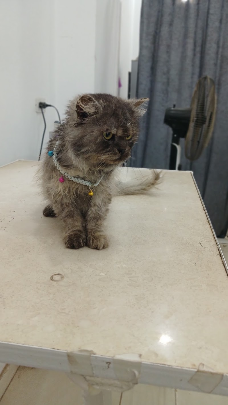 Royal pet clinic - صورة 2