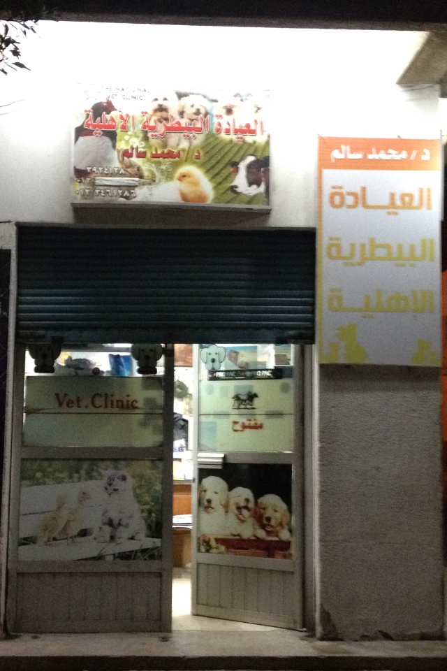 Dr.Mohamed Salem - Veterinarian
