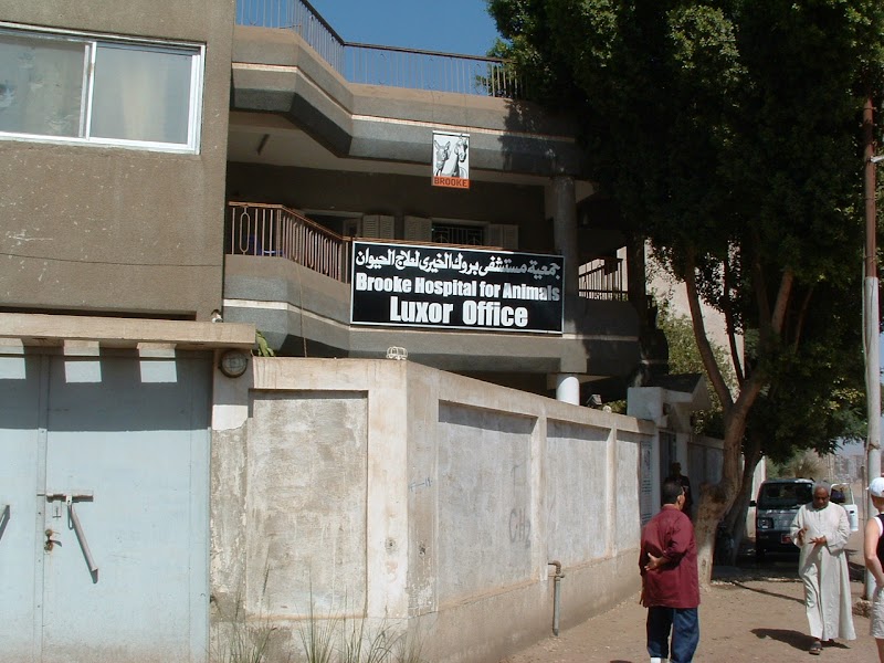 Brooke Hospital For Animals Office