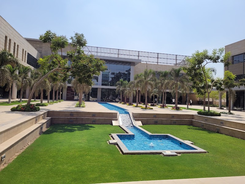 Newgiza University