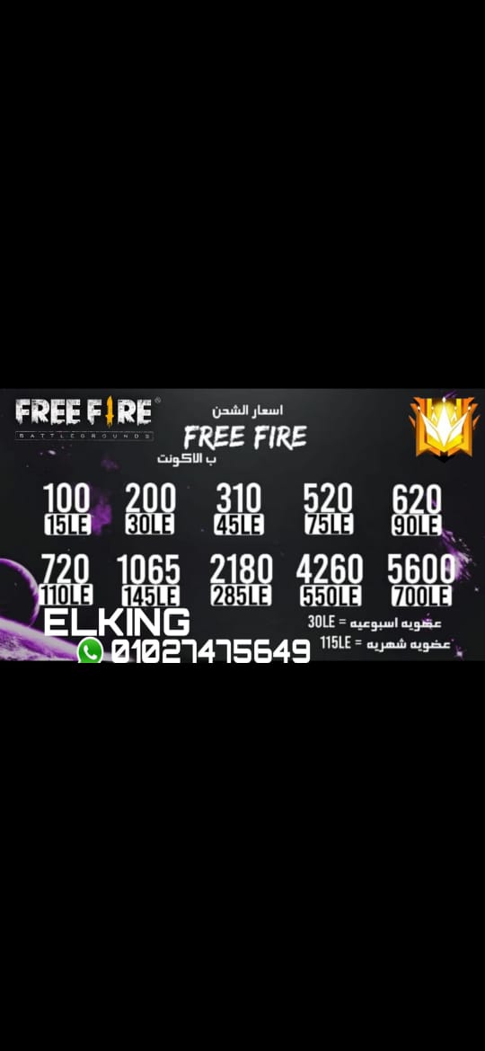ELKING STORE - صورة 3