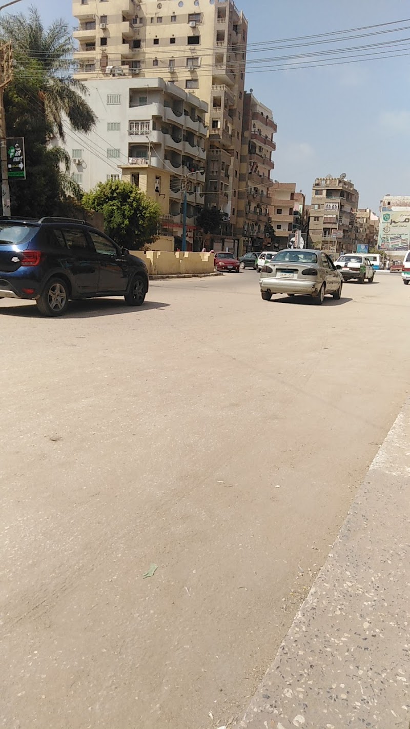 مجلس مدينة الفيوم - صورة 1