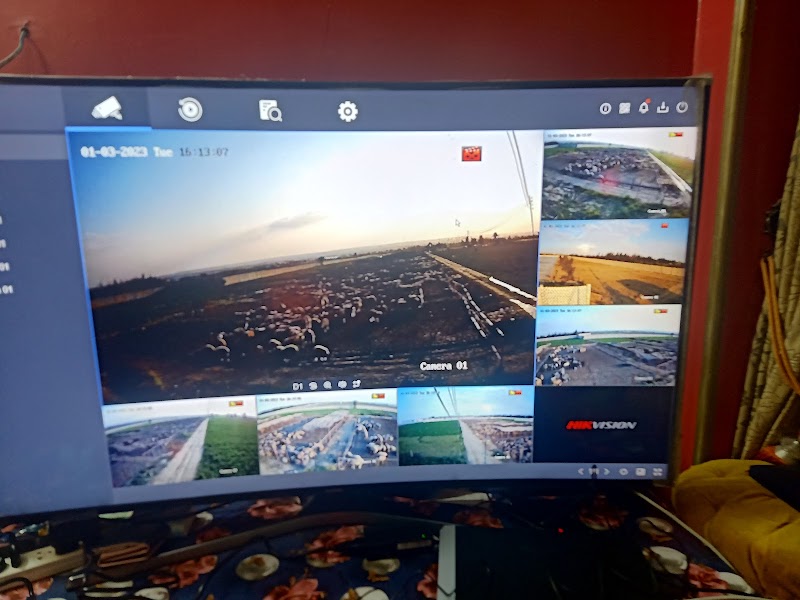 شركة قمر14 لخدمات وتوريدات تكنولوجيا المعلومات فرع وسط البلد - صورة 2