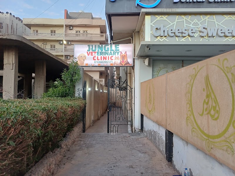 Jungle Veterinary Clinic - Photo 2
