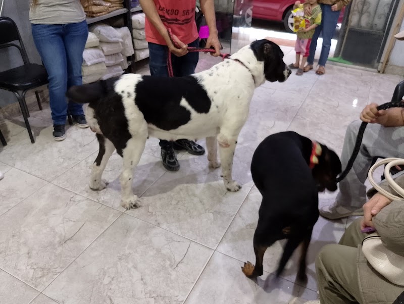 Veterinary clinic