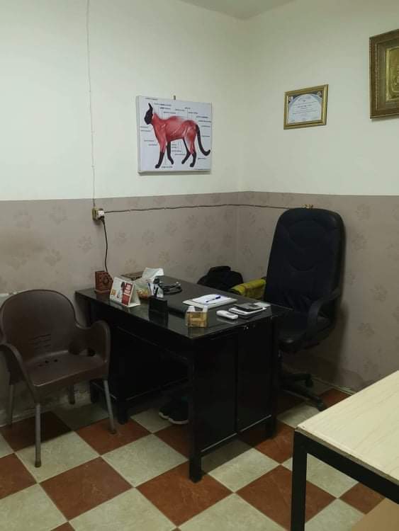 عيادة بيطرية للحيوانات الأليفة - Pet Home - Photo 1