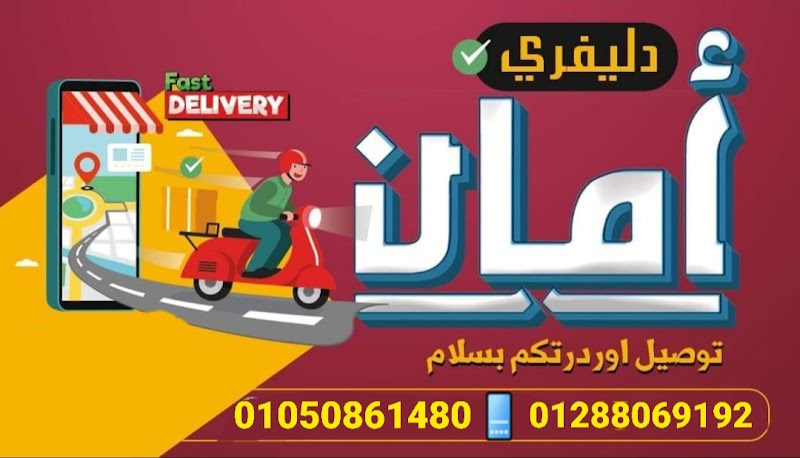 Safe Delivery Services Suez - Photo 2