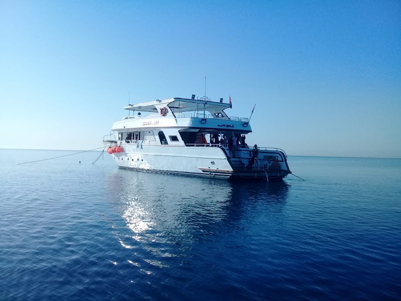 Red Sea Cruise - صورة 3