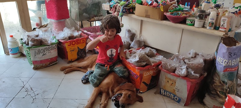 Animal planet pet shop - صورة 1