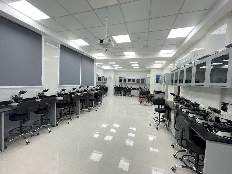Faculty of Medicine - Luxor University