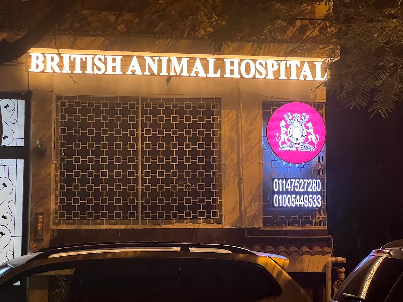 British Animal Hospital - Heliopolis