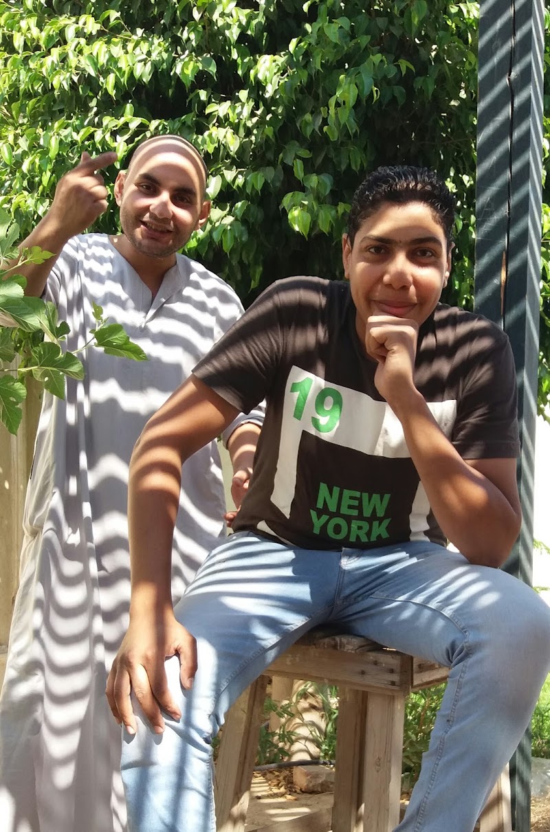 الشركة المصرية للغزل والنسيج - صورة 1