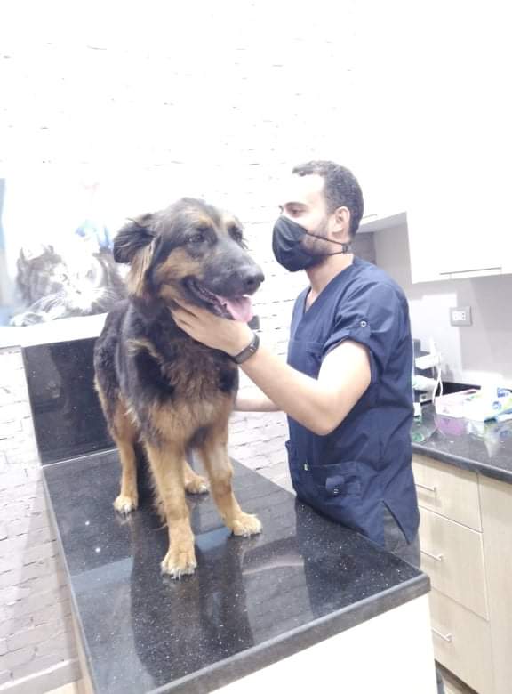 Royal Veterinary Clinic (Dr Anas El Gazzar) - Photo 1