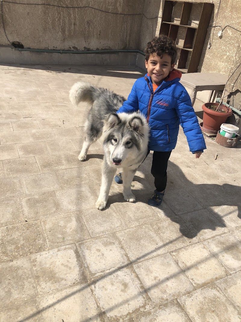 Pet ville clini - صورة 2