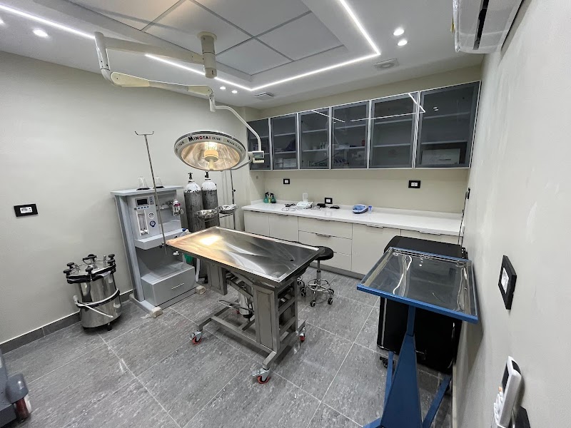 British Animal Hospital - Sheraton - صورة 3