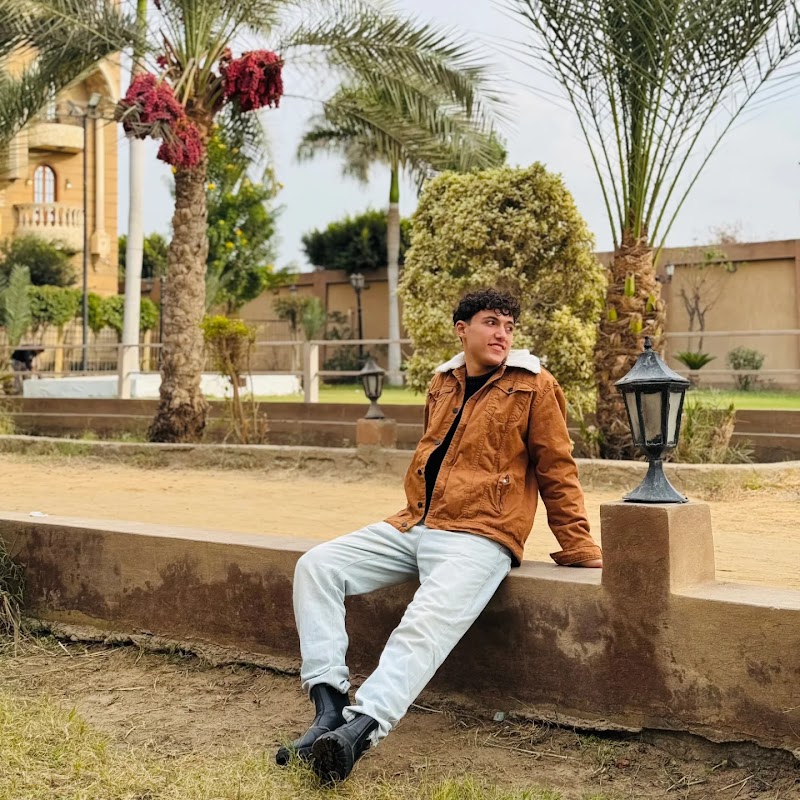 المعهد العالي للادارة بالمحلة الكبرى - صورة 3