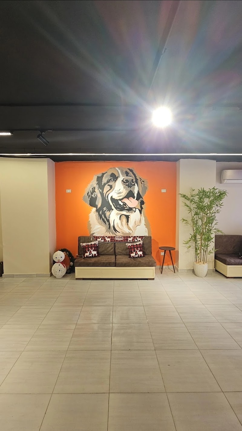 Cats & Dogs Veterinary hospital zahra maadi - Photo 2