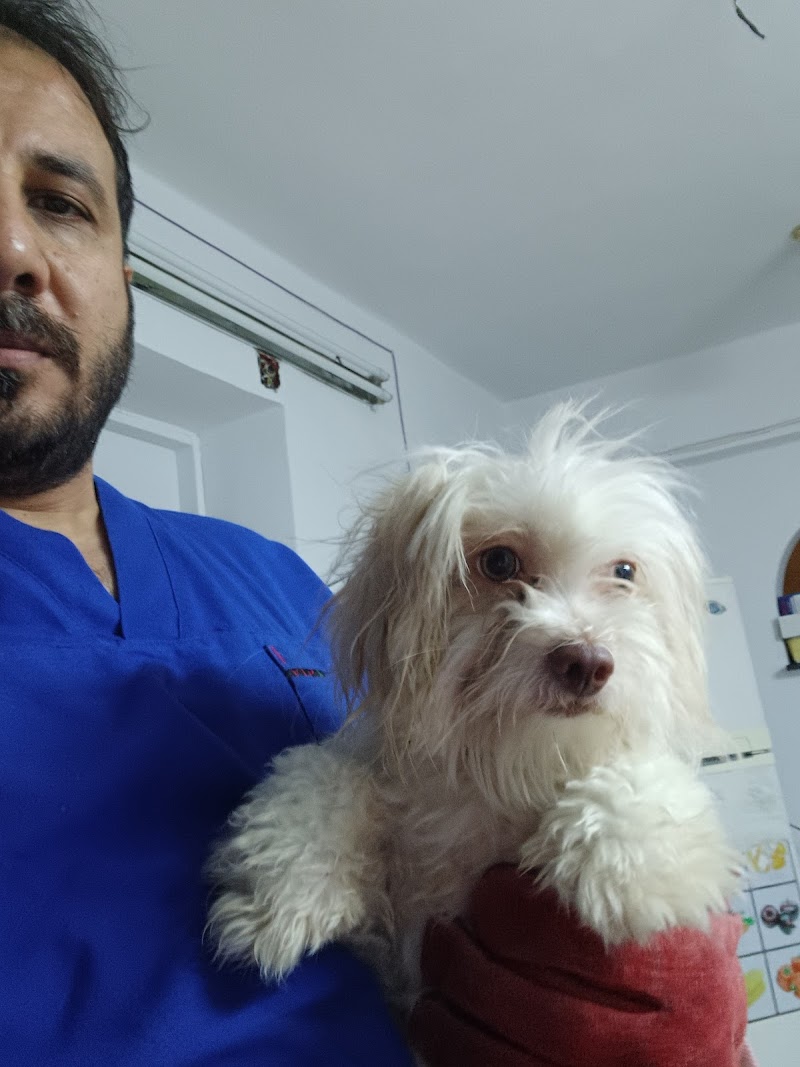 Total pet care center (Dr Mahmoud Helmy) - صورة 1