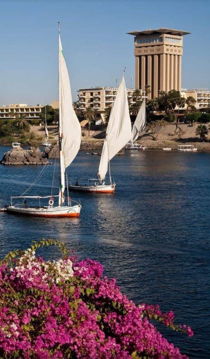 متجر - صورة 1