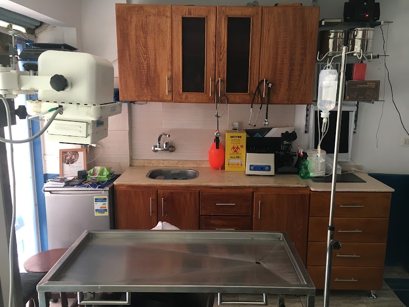 Maw&Paw Veterinary Clinic |عيادة بيطرية - Photo 3