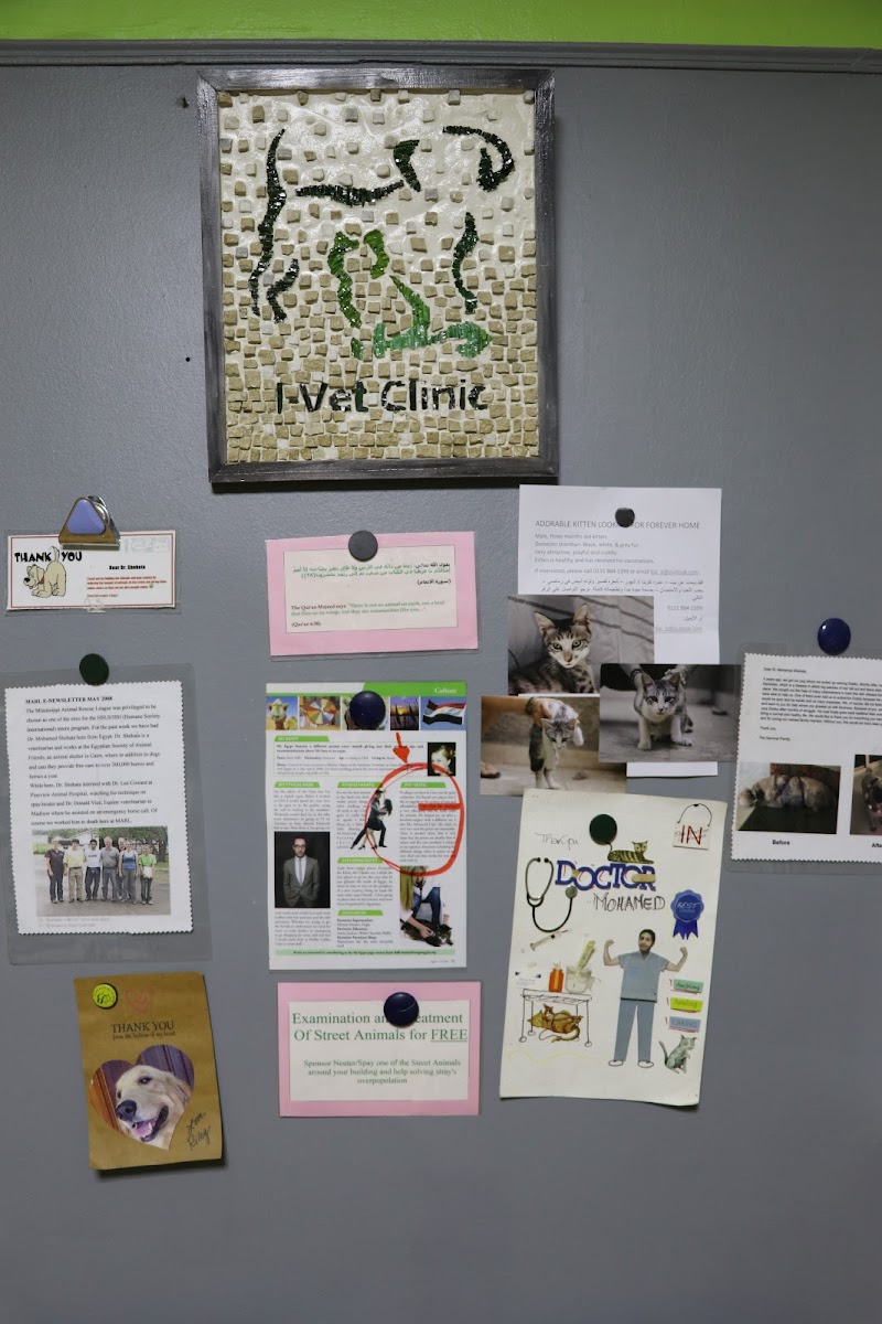 I-Vet Clinic - صورة 3
