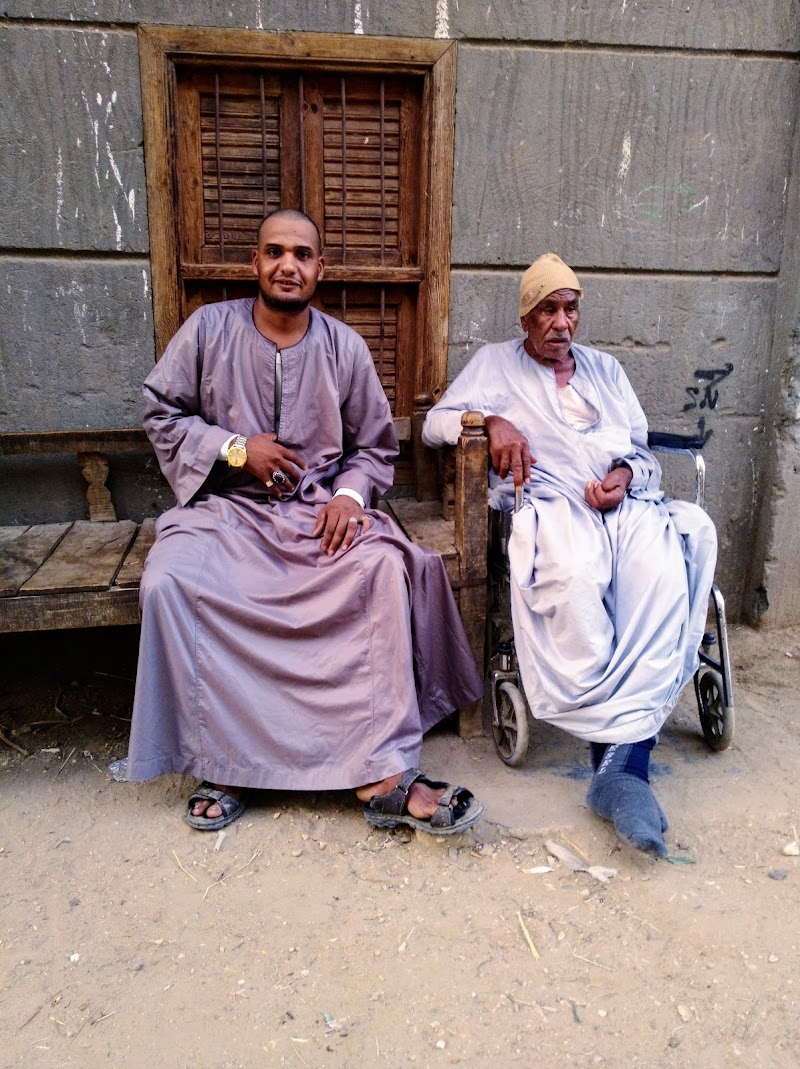 مشتل آل عوده لجميع انواع الشتلات - Photo 2