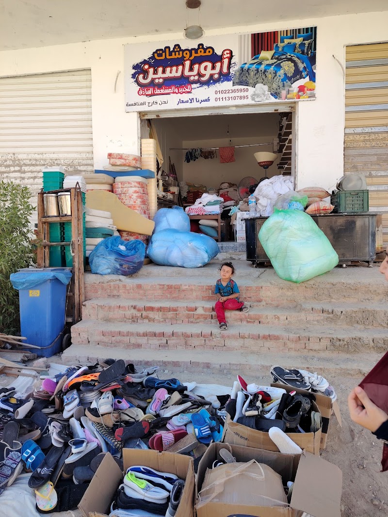 Ibrahim Elgaafary School - Photo 1