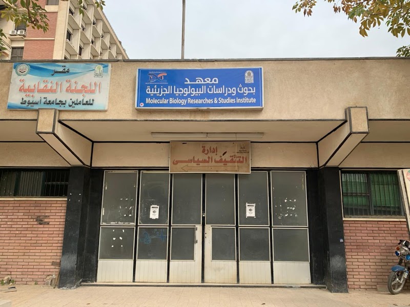 PYramids Academy - بيراميدز للتدريب وتكنولوجيا المعلومات - صورة 1