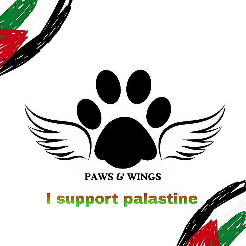 Paws&Wings