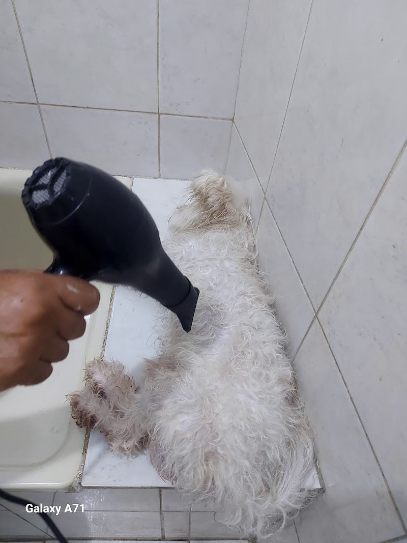 Royal pets clinics - Photo 1