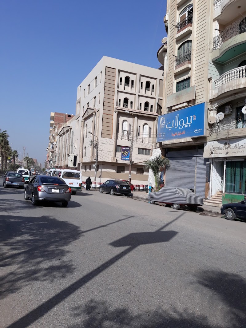 الشركة المصرية للاتصالات (we)