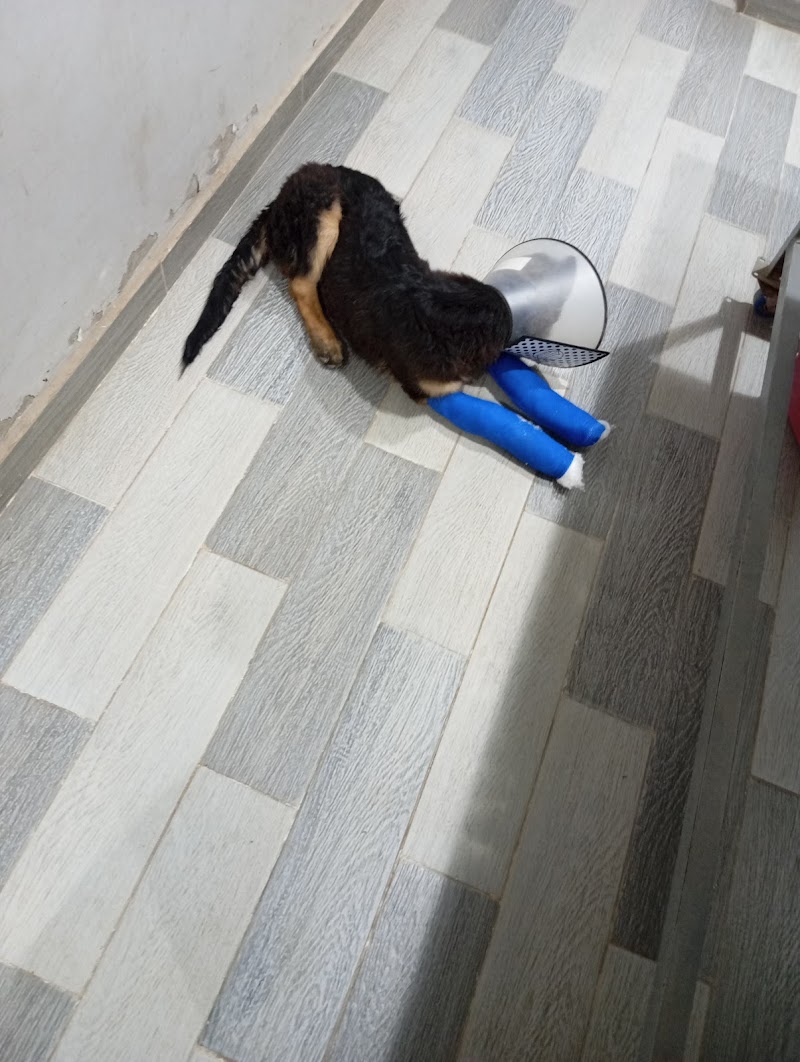عيادة الرحمة البيطرية - Photo 2